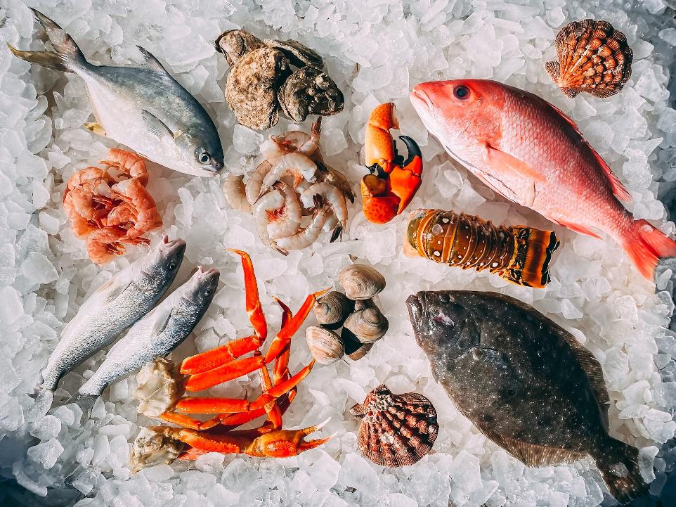 orange and white fish on white and black pebbles