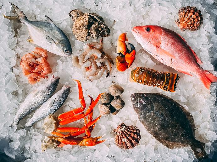 orange and white fish on white and black pebbles